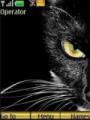 Тема Black Cat