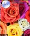 Тема Colourful Roses