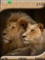 Тема Lions