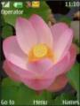 Тема Lotus Flower
