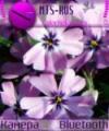 Тема Purple Flowers