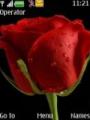 Тема Rose And Tulip