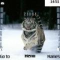 Тема Snow Tiger