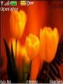 Тема Yellow Tulips Ani