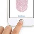 В следующем году смартфоны известных брендов будут оснащаться сканером отпечатков пальцев 