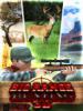 Большая Охота на Полигоне 3D (Big Range Hunting 3D)