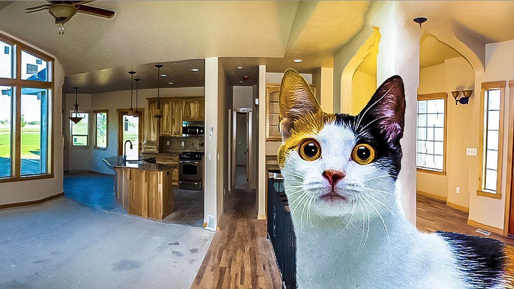 Делал панораму комнаты, но тут прошел кот и…