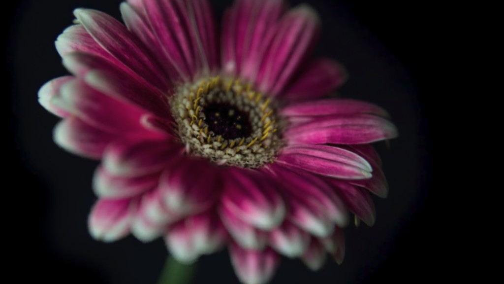 Apple добьется от смартфонов качественных фото