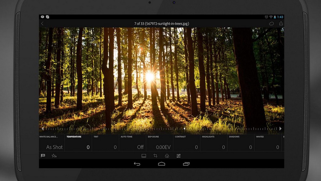Adobe Lightroom отныне с инструментами для профи