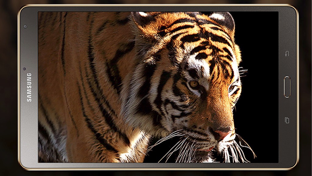 GALAXY Tab S2 будет самым тонким планшетом