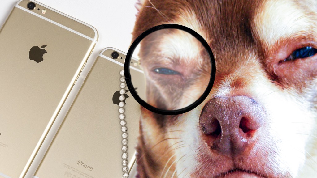 Корпус iPhone 6S Plus — увы, минимум перемен…