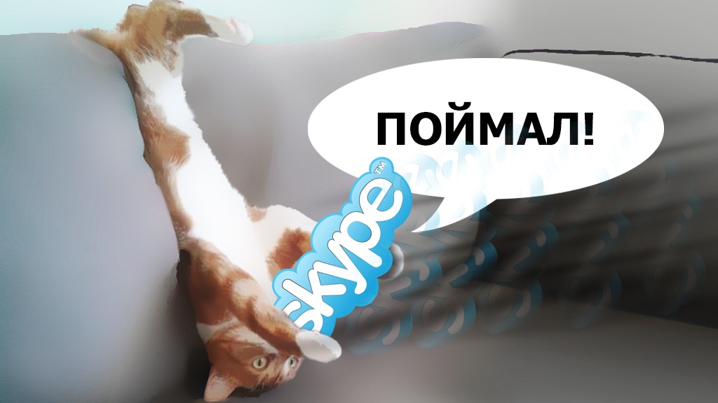 Почему «упал» Skype и что с ним будет впредь?