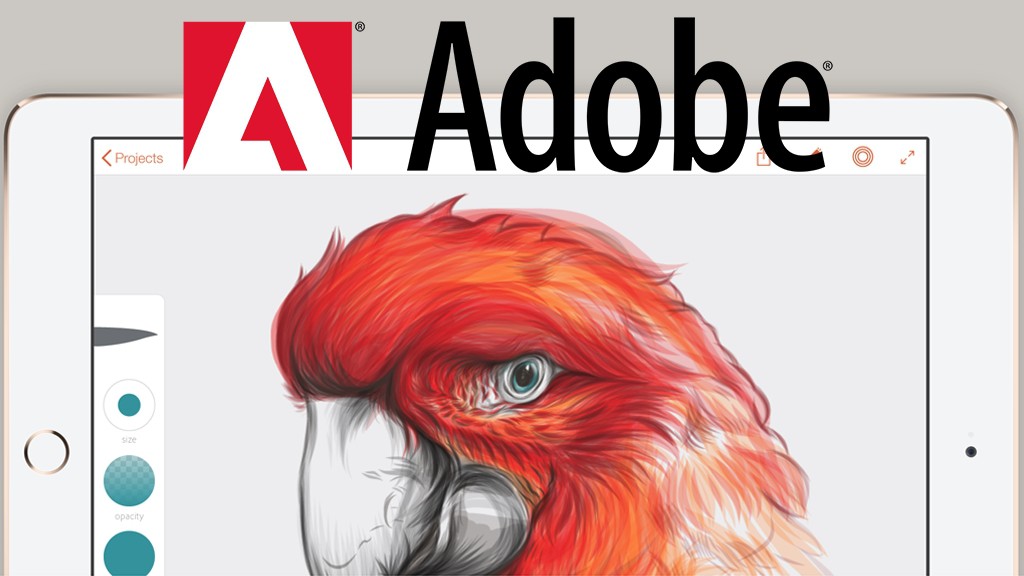 Глобальное обновление мобильных приложений Adobe
