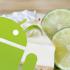 Сенсационная утечка с подробностями будущей ОС Android 5.0 Key Lime Pie