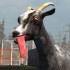 Симулятор безумной козы Goat Simulator придет и на iOS