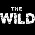 The Wild — мобильная вариация популярного «survival-horror» The Forest — уже близка к финальной версии